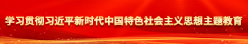 大鸡巴暴操美女学习贯彻习近平新时代中国特色社会主义思想主题教育