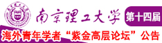 大鸡巴插丰满少妇阴道视频南京理工大学第十四届海外青年学者紫金论坛诚邀海内外英才！